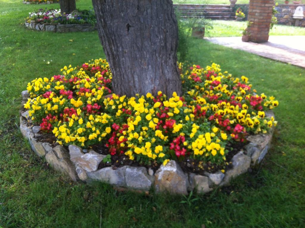 Azienda Agrituristica I Tre Casali Маджоне Номер фото