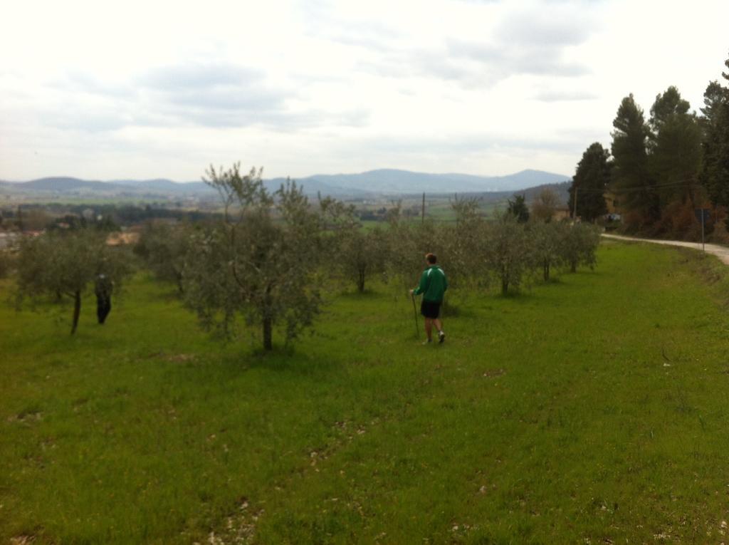Azienda Agrituristica I Tre Casali Маджоне Номер фото