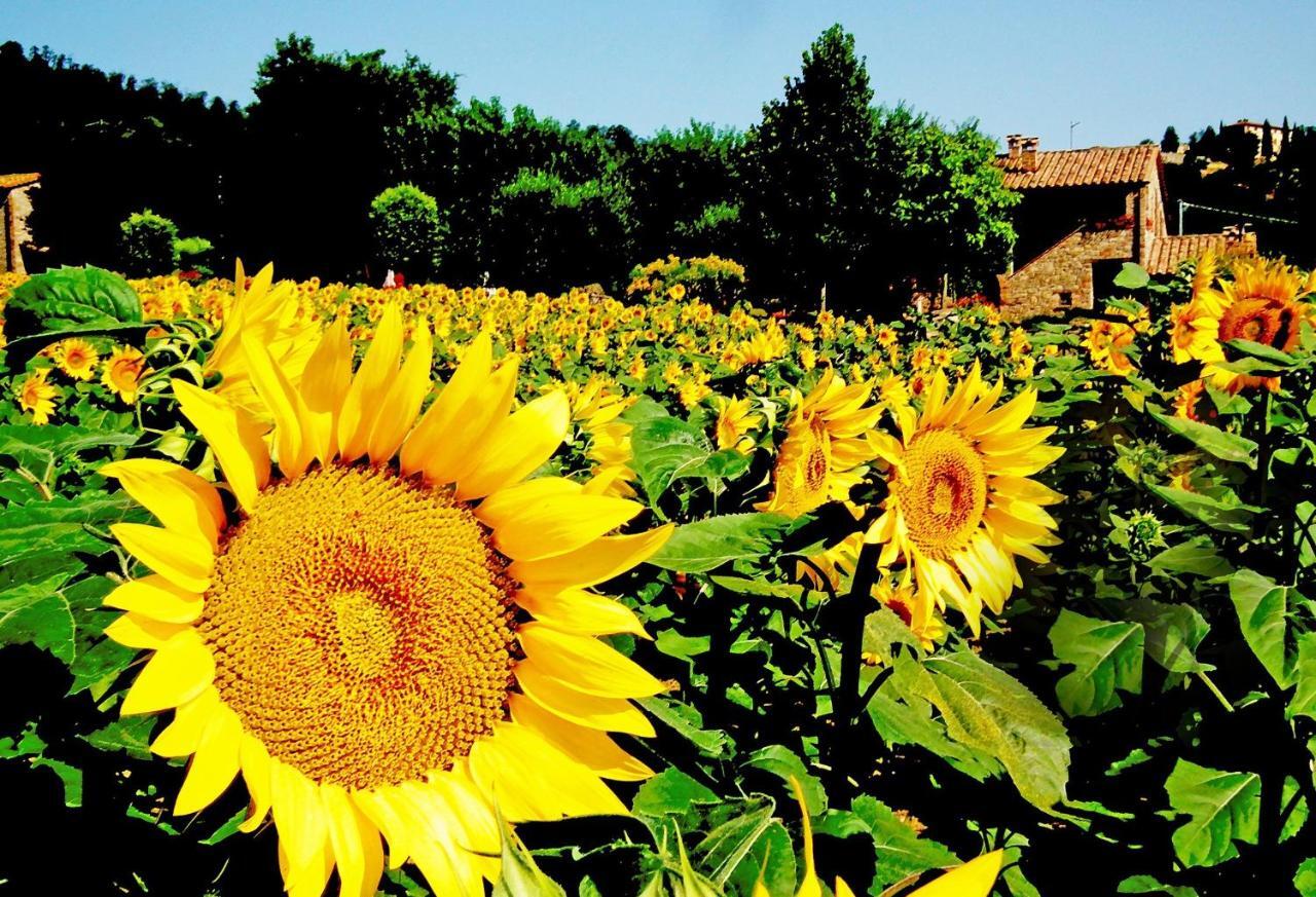 Azienda Agrituristica I Tre Casali Маджоне Экстерьер фото